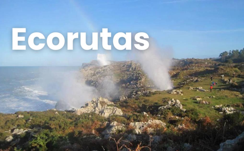 Ecorutas