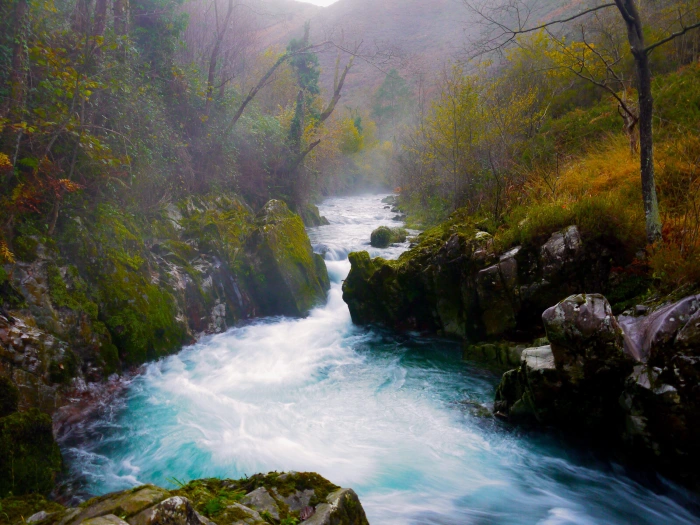 ruta del río pùrón